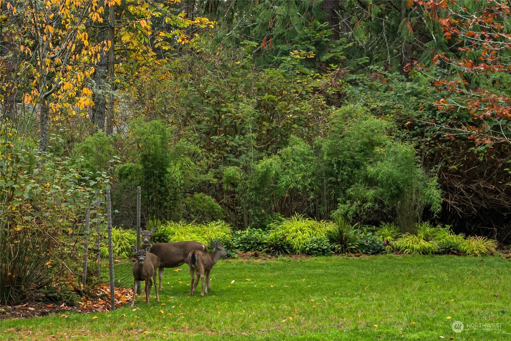 150 Carter Beach Road Friday Harbor, WA 98250 - Photo 39 of 39 a view of yard with green space and bench