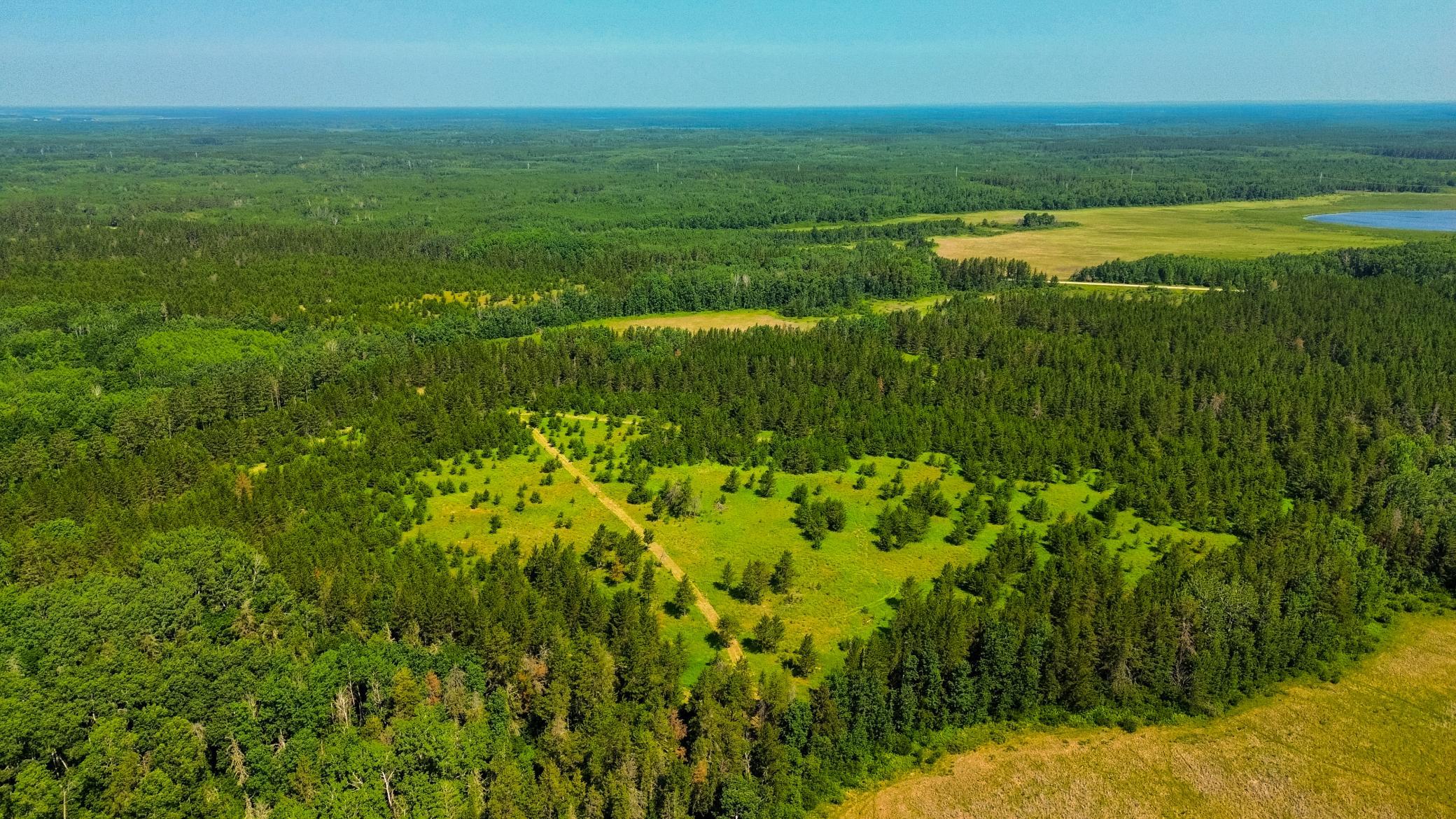 Tract 1-tbd Hubbard Line Road Menahga, MN 56464 - Photo 16 of 57 Gallery Image 16