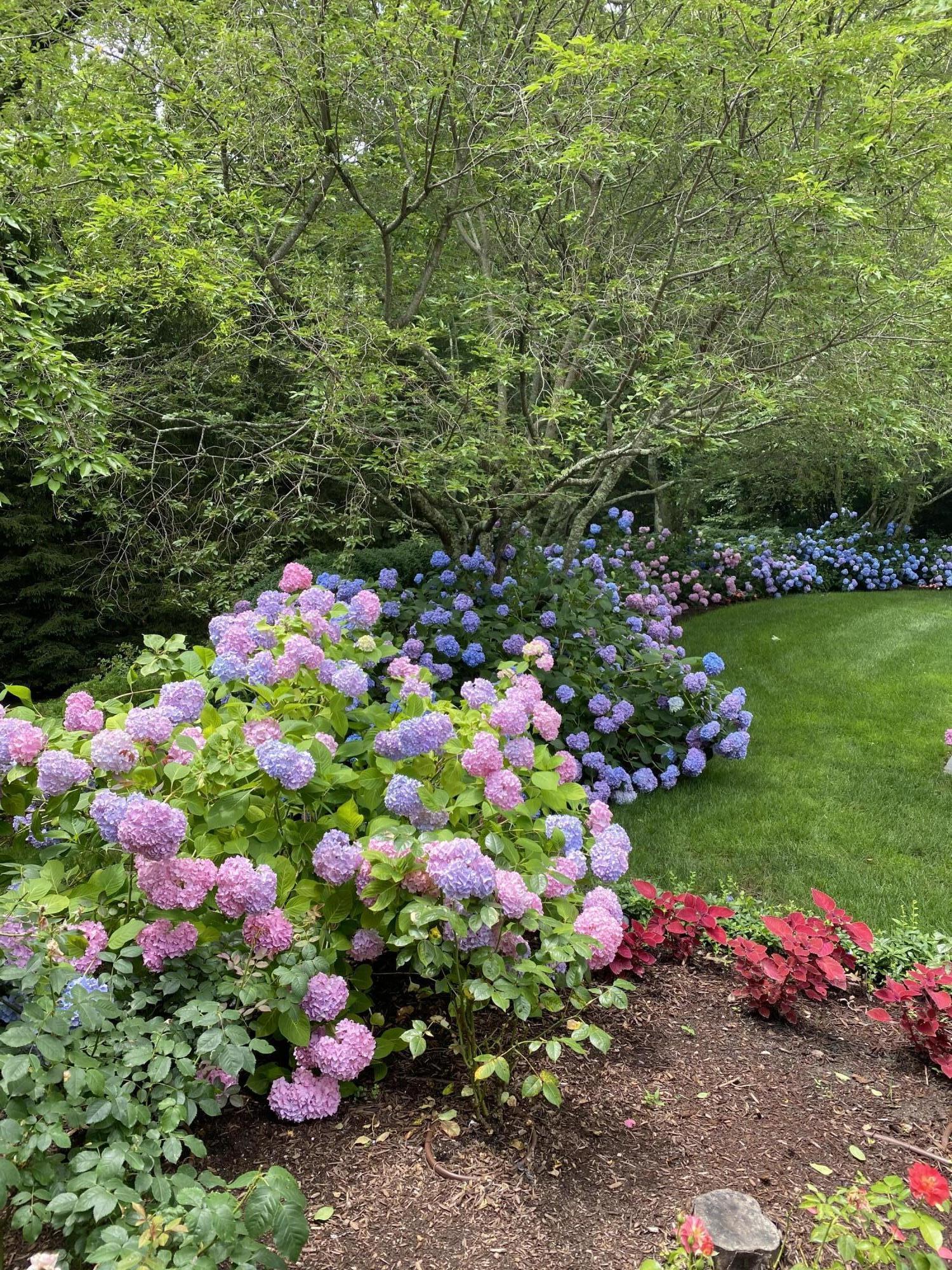 1629 Ponus Ridge Road New Canaan, CT 06840 - Photo 49 of 51 a view of a flower in a garden