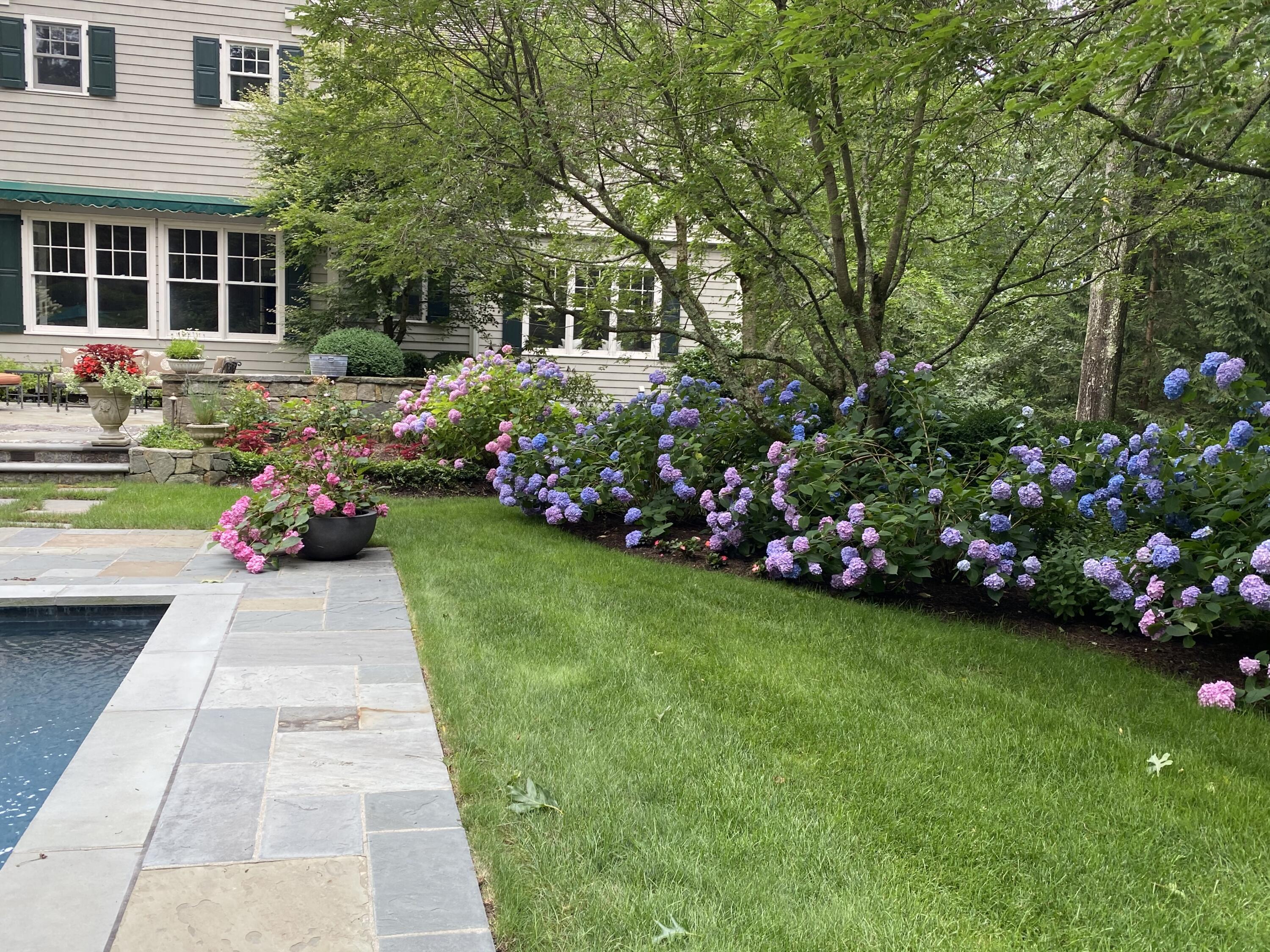 1629 Ponus Ridge Road New Canaan, CT 06840 - Photo 50 of 51 a view of a house with a garden and pathway