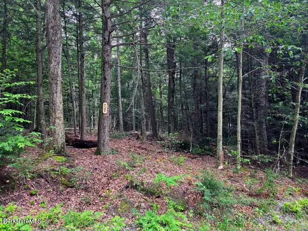 724 Moberg Road Becket, MA 01223 - Photo 6 of 15 Lot 1