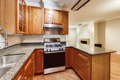 $425,000 | 1355 West Fillmore Street, Unit B, Chicago, IL 60607