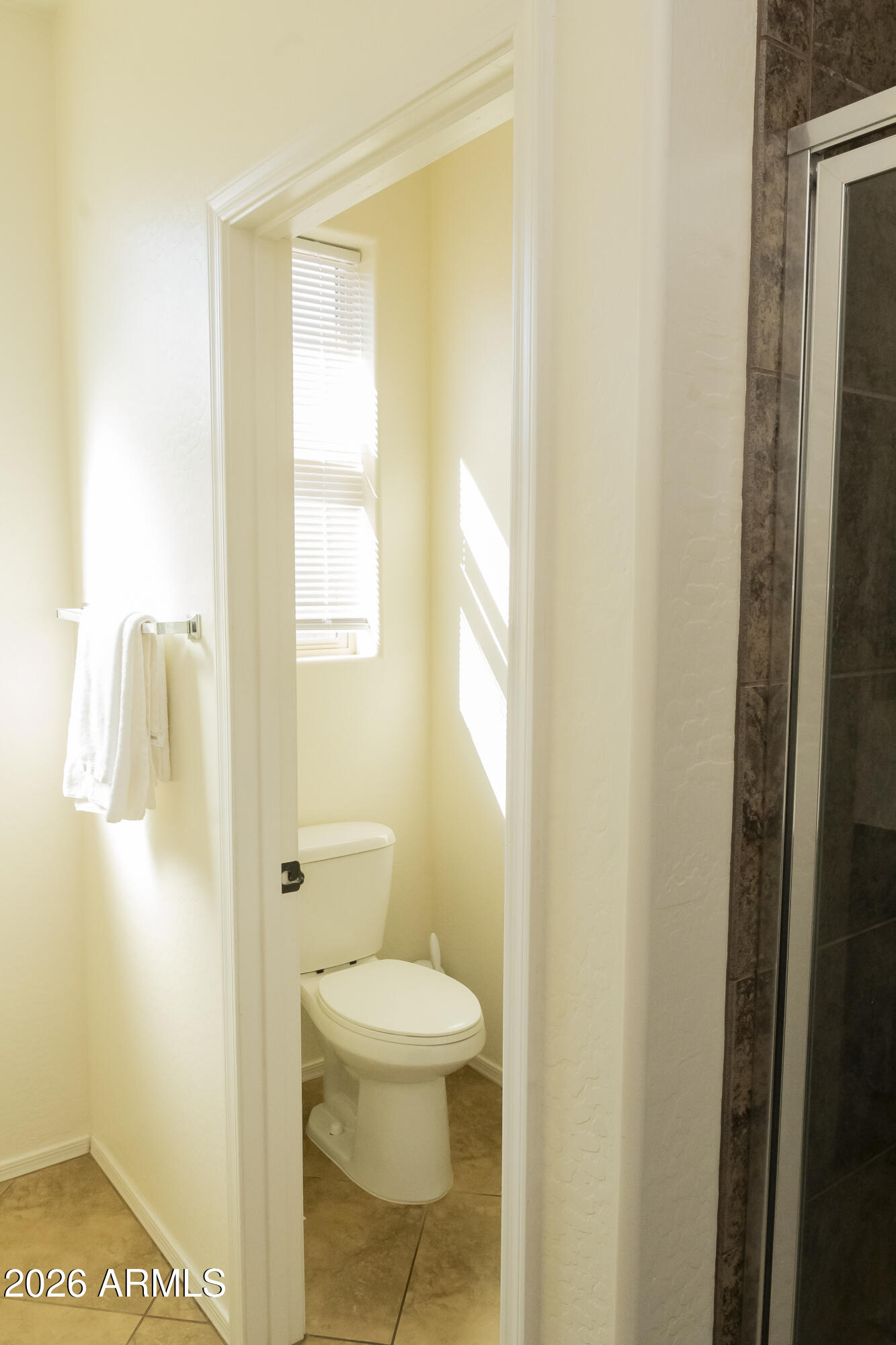 16045 West Almeria Road Goodyear, AZ 85395 - Photo 22 of 31 a bathroom with a toilet and a shower