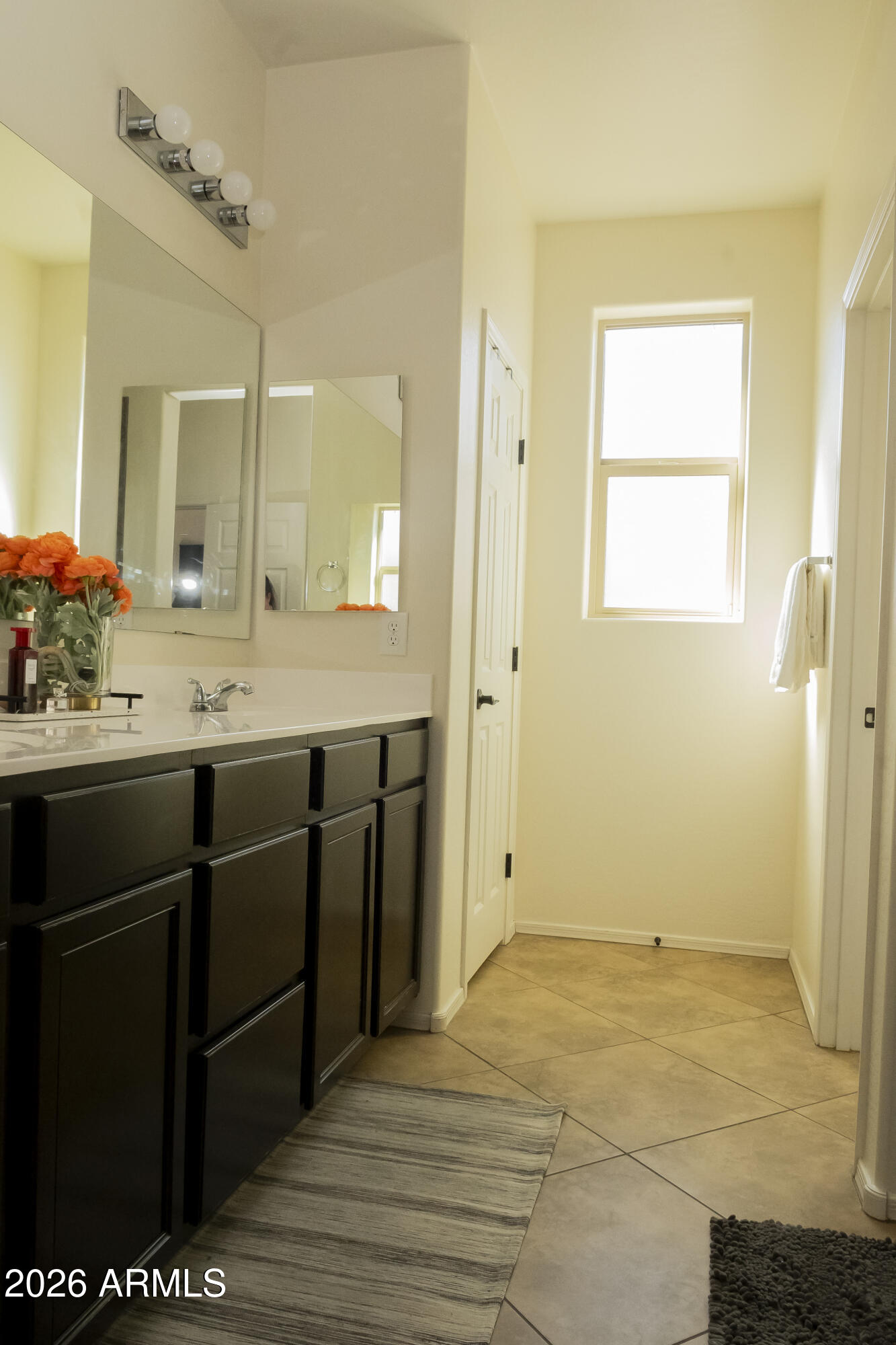 16045 West Almeria Road Goodyear, AZ 85395 - Photo 23 of 31 a bathroom with a sink and a mirror
