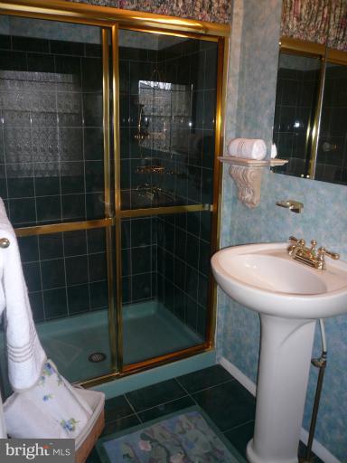 1100 Ryegate Road Towson, MD 21286 - Photo 24 of 30 Bath (Master)