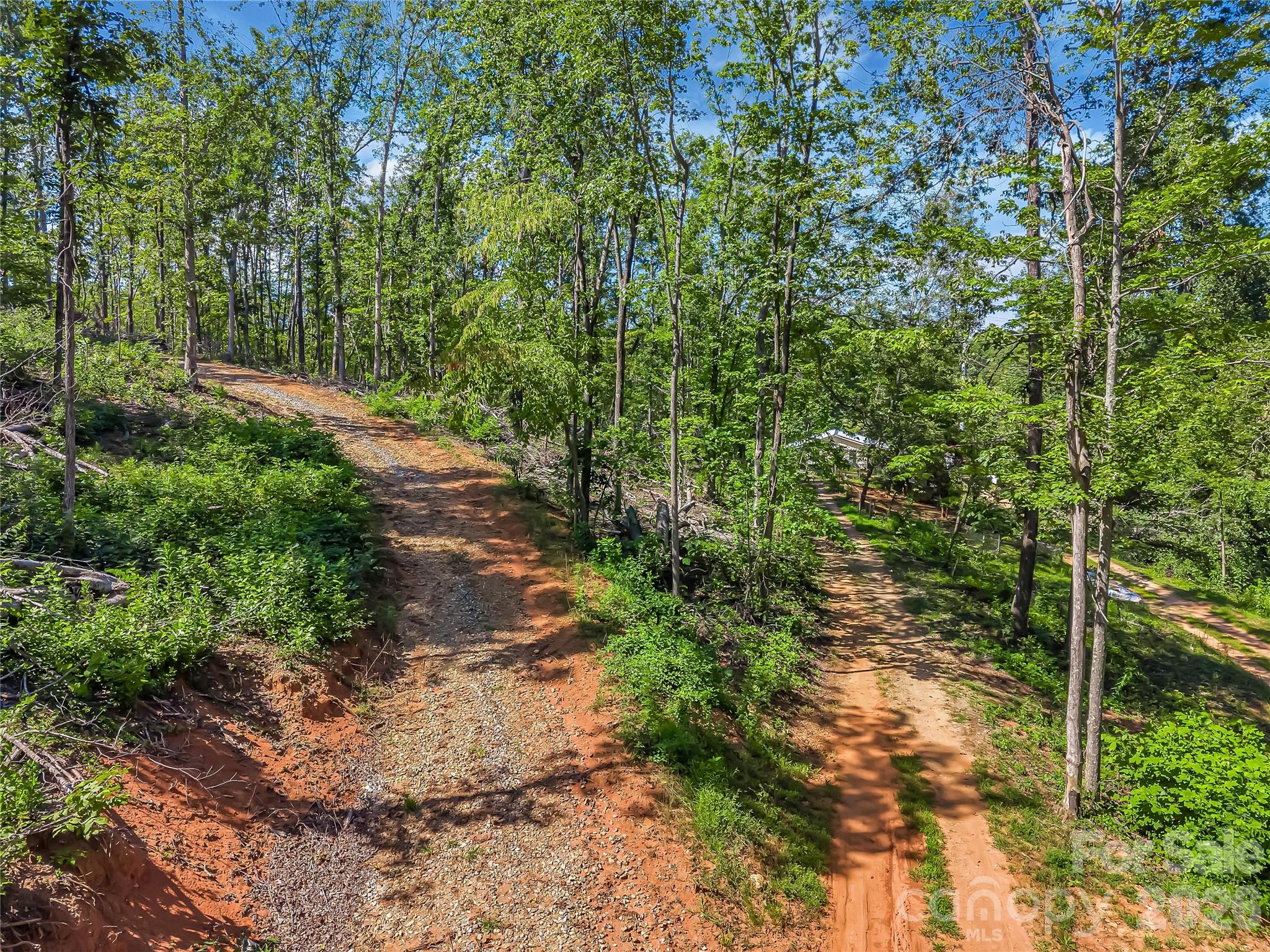 Tbd Early Road Saluda, NC 28773 - Photo 8 of 35 Gallery Image 8