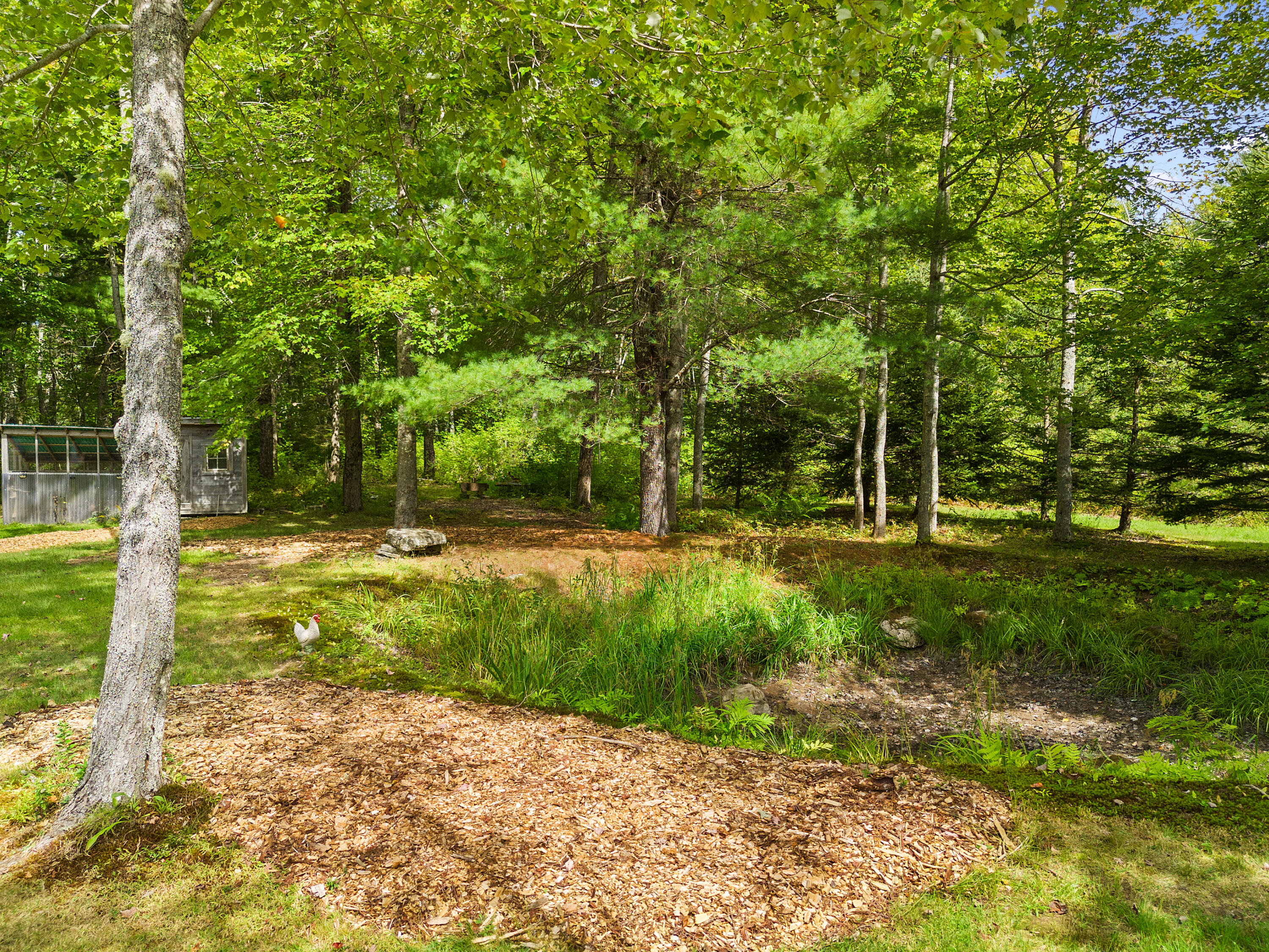 402 Daniels Road Union, ME 04862 - Photo 23 of 59 DJI_20250910122731_0370_D - Copy - Copy