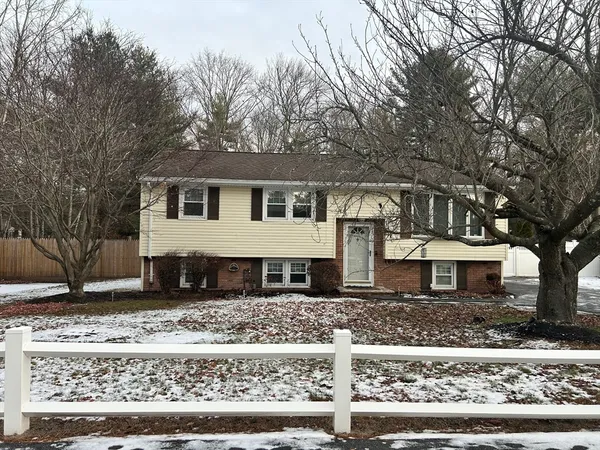 a house that has a tree in front of the house