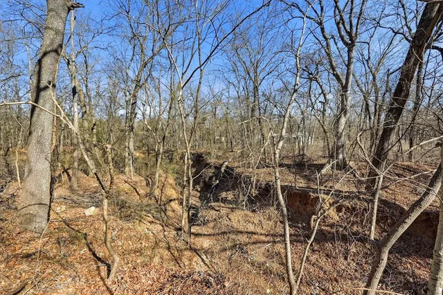 a view of a yard with trees