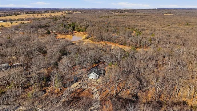 a view of a dry yard with trees