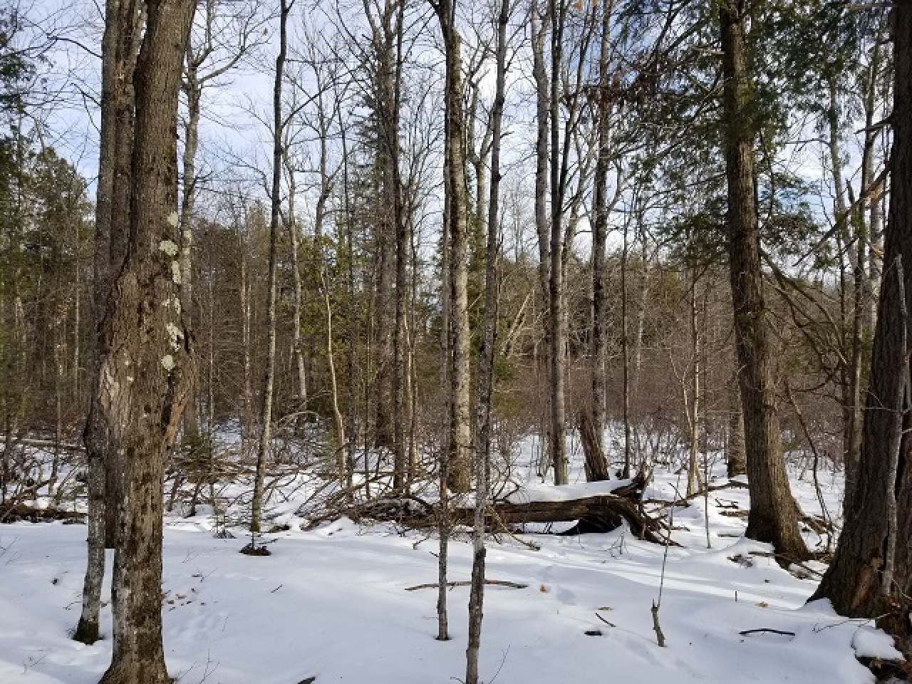 Tbd Tbd Nagles Road Hurley, WI 54534 - Photo 10 of 13 Gallery Image 10
