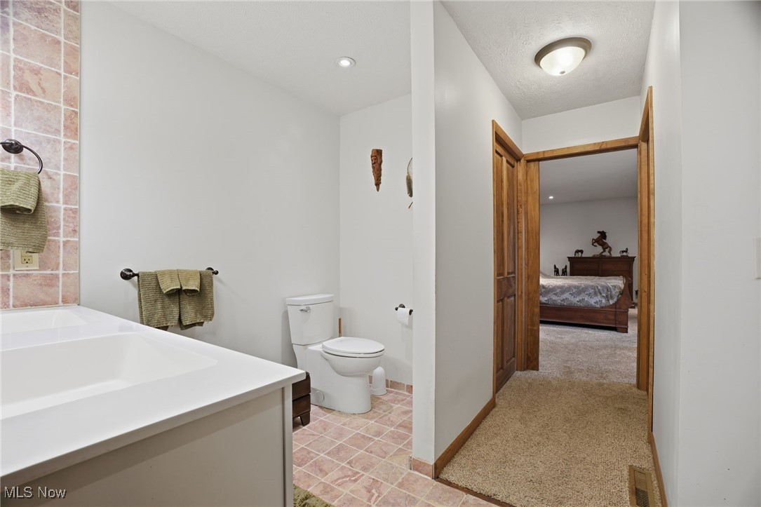 2146 Clay Road Dorset, OH 44032 - Photo 18 of 40 Full bathroom featuring connected bathroom, vanity, light colored carpet, and recessed lighting