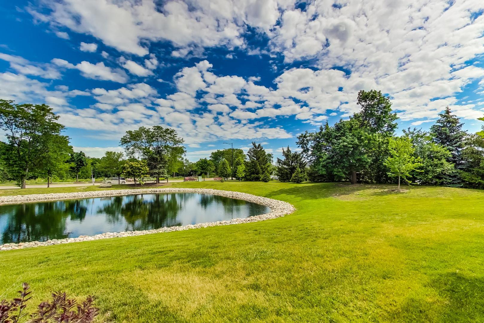 27 White Pine Drive Schaumburg, IL 60193 - Photo 26 of 27