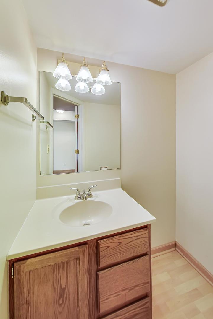 27 White Pine Drive Schaumburg, IL 60193 - Photo 10 of 27