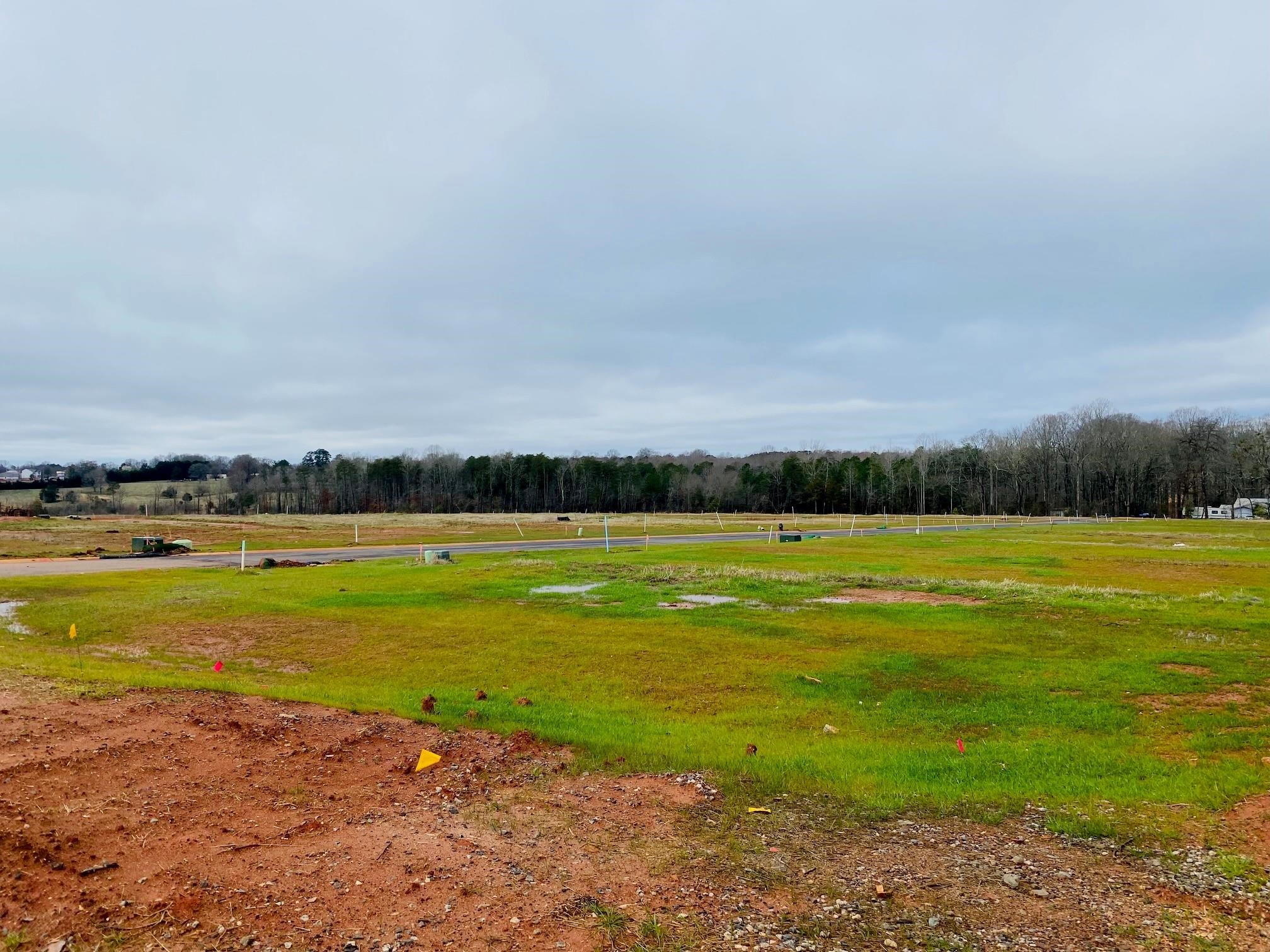 2027 Brechin Road Wellford, SC 29385 - Photo 3 of 6 Gallery Image 3