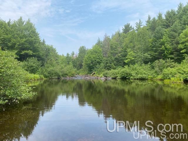 2650 West Co Road Negaunee, MI 49866 - Photo 36 of 49