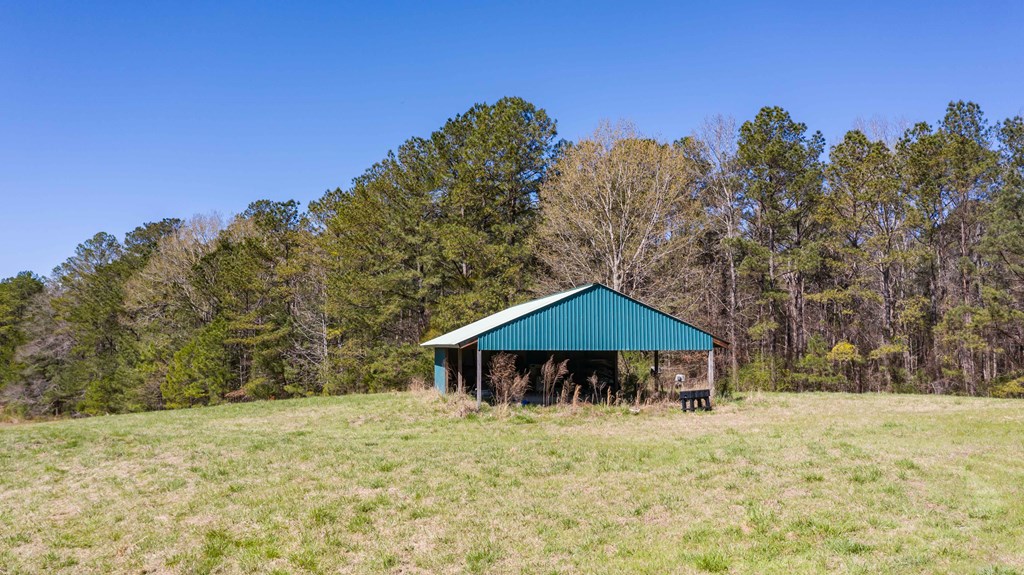 8435 Cartledge Road Box Springs, GA 31801 - Photo 10 of 100 Gallery Image 10