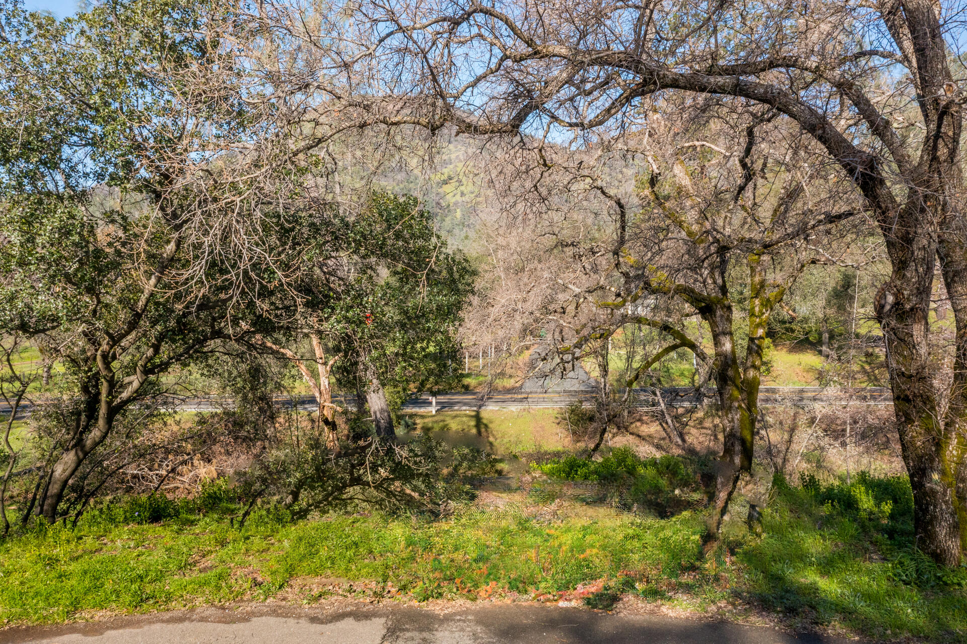 Bear Mountain Road Redding, CA 96003 - Photo 5 of 9 a backyard of a building