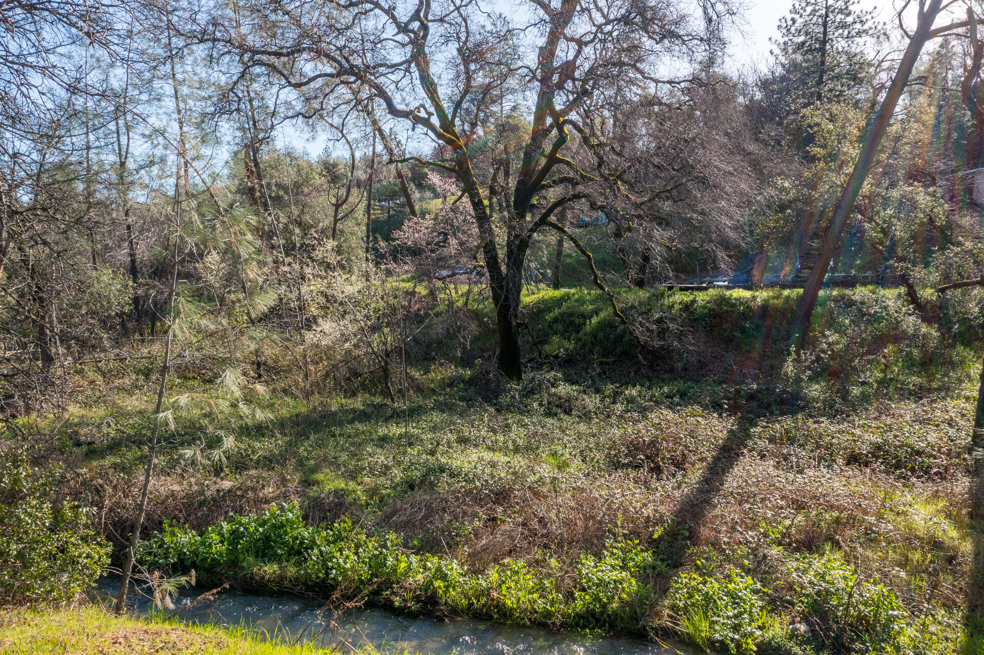 Bear Mountain Road Redding, CA 96003 - Photo 6 of 9 a view of a yard with large trees