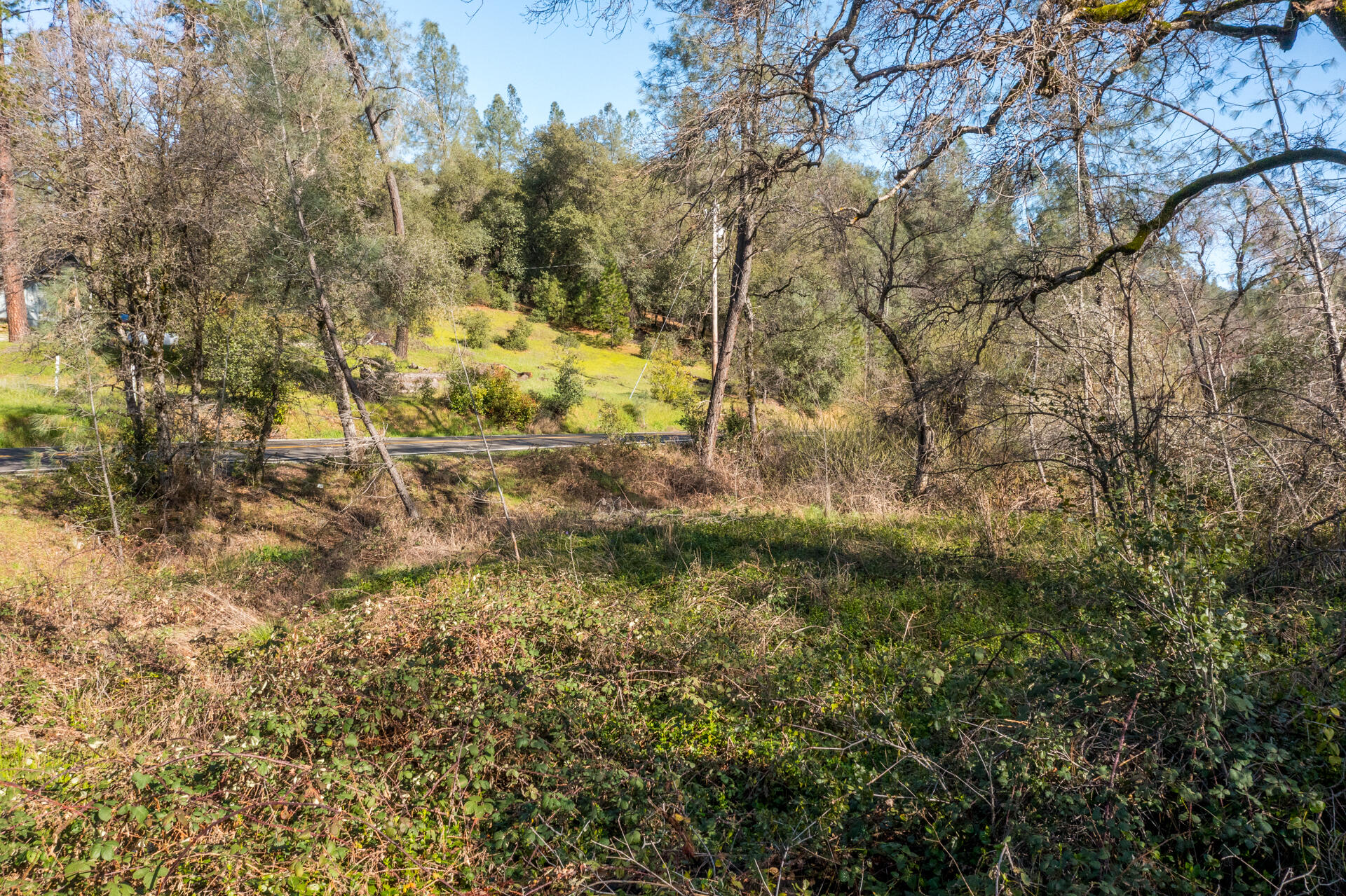 Bear Mountain Road Redding, CA 96003 - Photo 8 of 9 a view of yard with trees