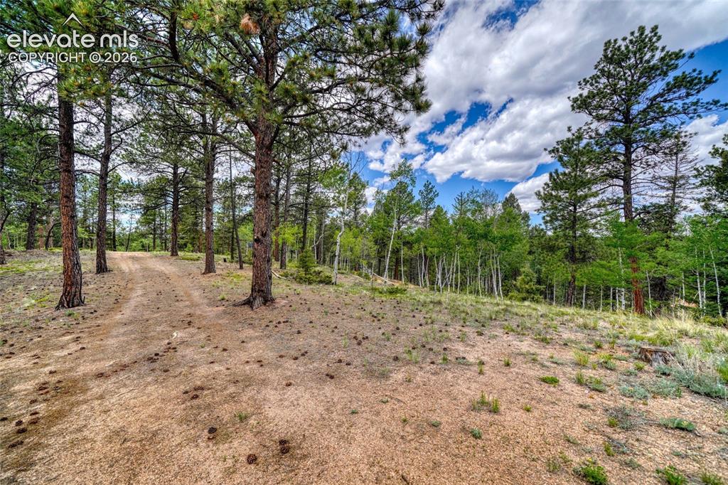 2927 Pathfinder Road Florissant, CO 80816 - Photo 7 of 37