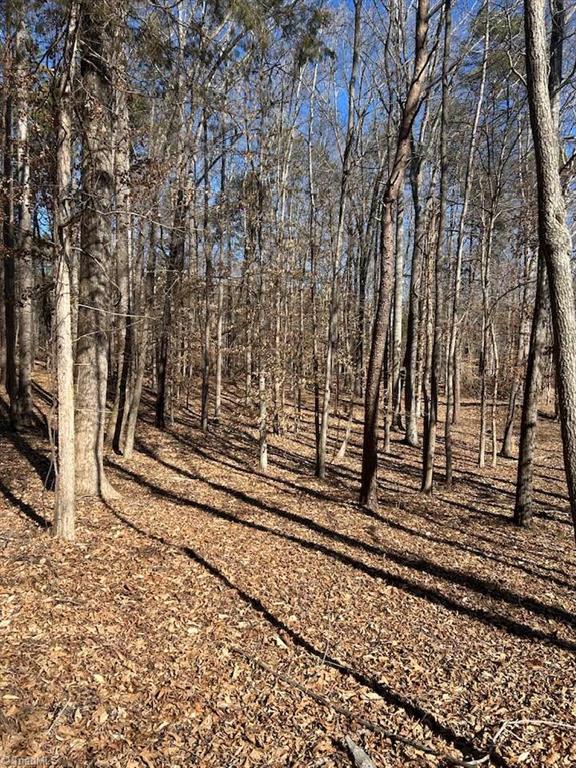 4.5-acres Kelly Brewer Road Leasburg, NC 27291 - Photo 6 of 14