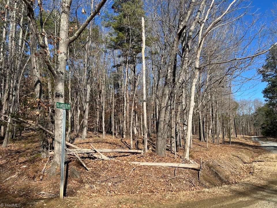 4.5-acres Kelly Brewer Road Leasburg, NC 27291 - Photo 10 of 14