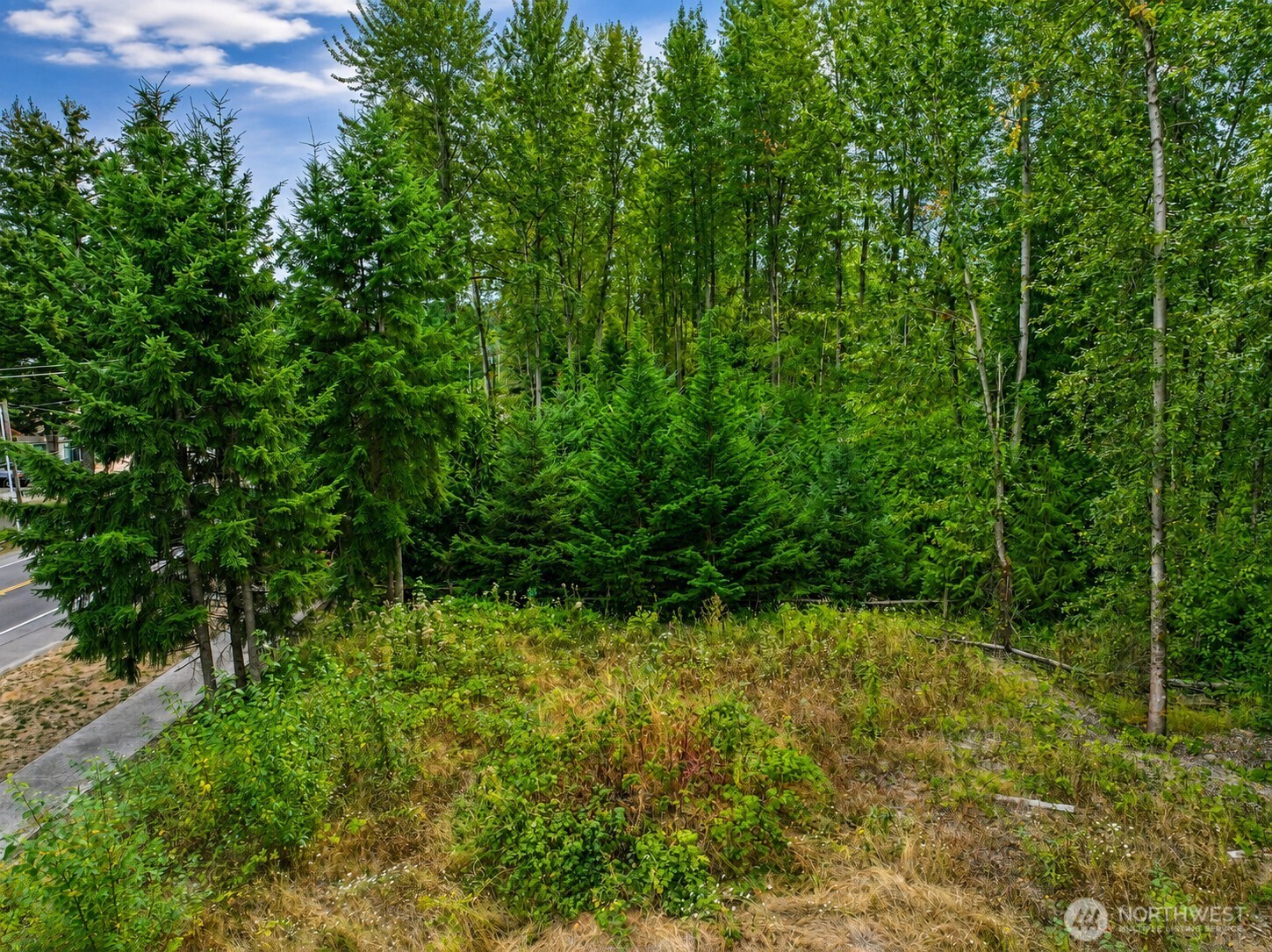 0 132nd Avenue Southeast Kent, WA 98030 - Photo 17 of 21 Gallery Image 17