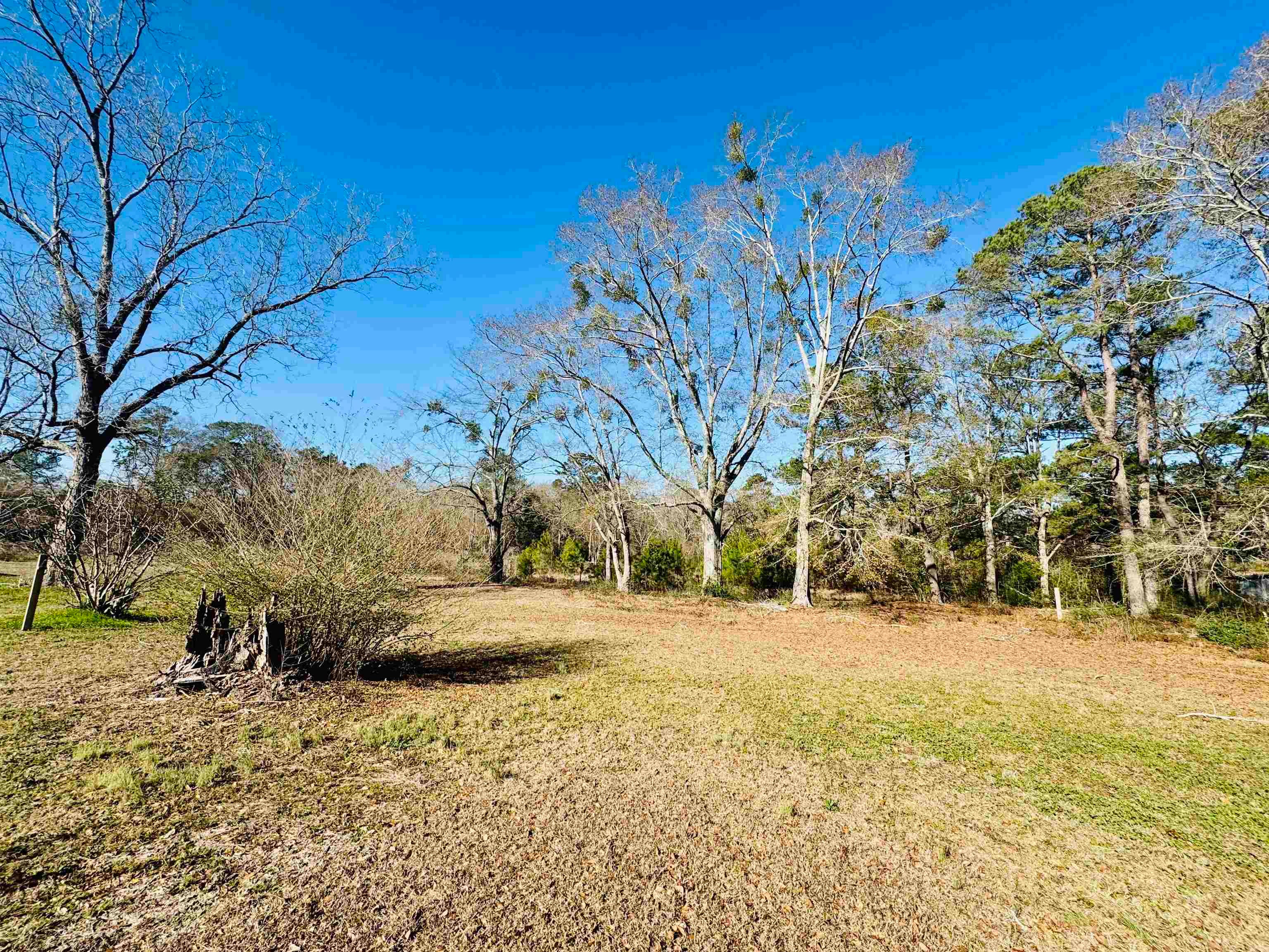 29927 County Line Loop Opp, AL 36467 - Photo 9 of 30 Gallery Image 9