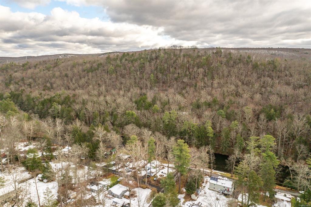 3 Avenue Godeffroy, NY 12729 - Photo 22 of 24 Aerial view