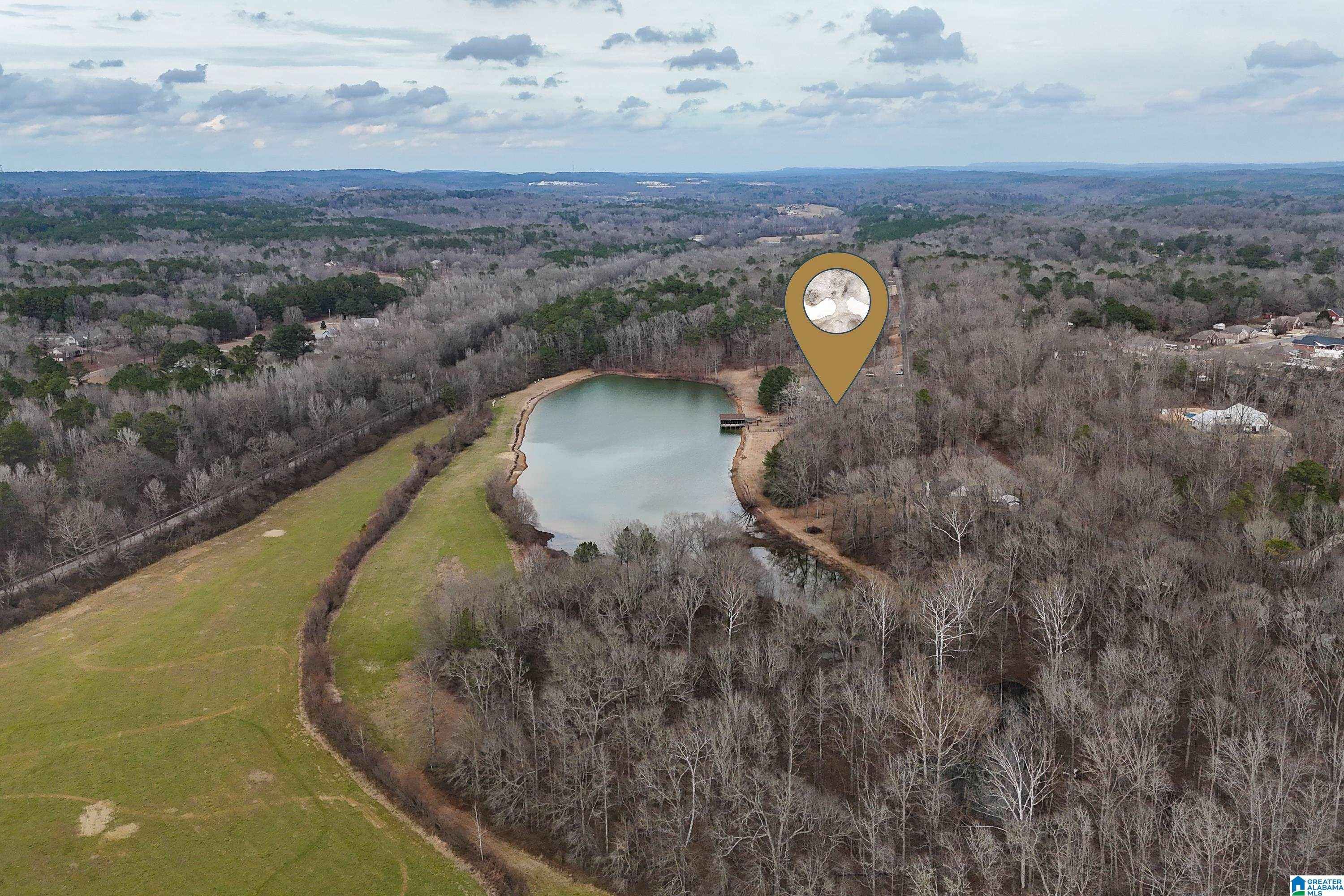 22348 Rosser Lane McCalla, AL 35111 - Photo 75 of 91