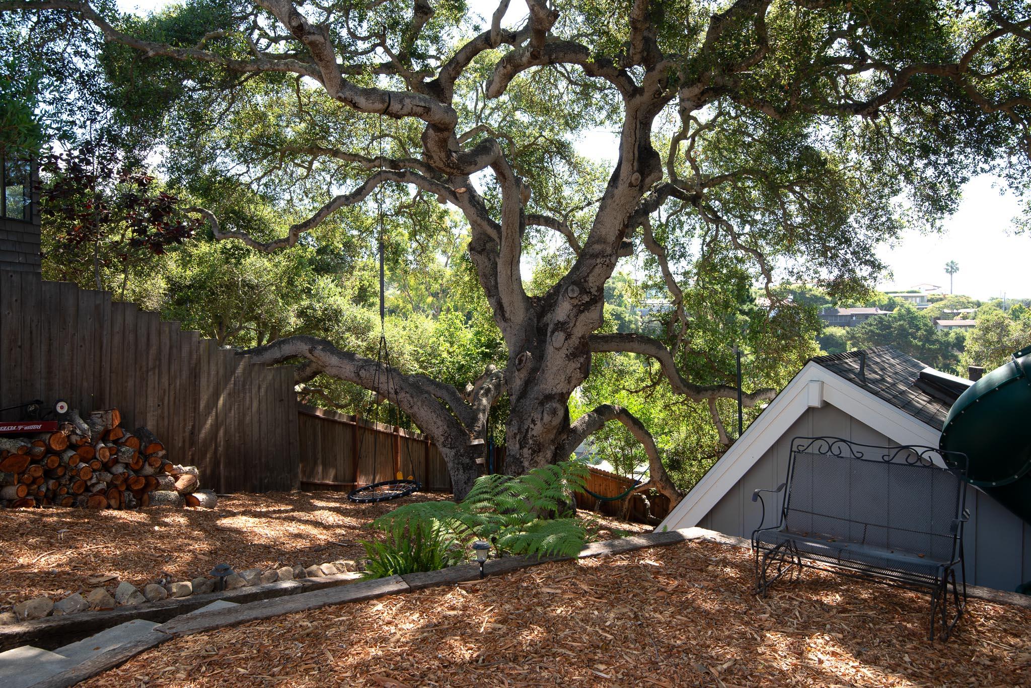 30 Skyline Circle Santa Barbara, CA 93109 - Photo 27 of 27 Back Yard