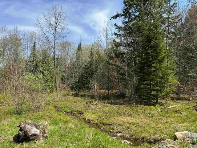 $75,000 | Tbd Belanger Lane, Wolcott, VT 05680