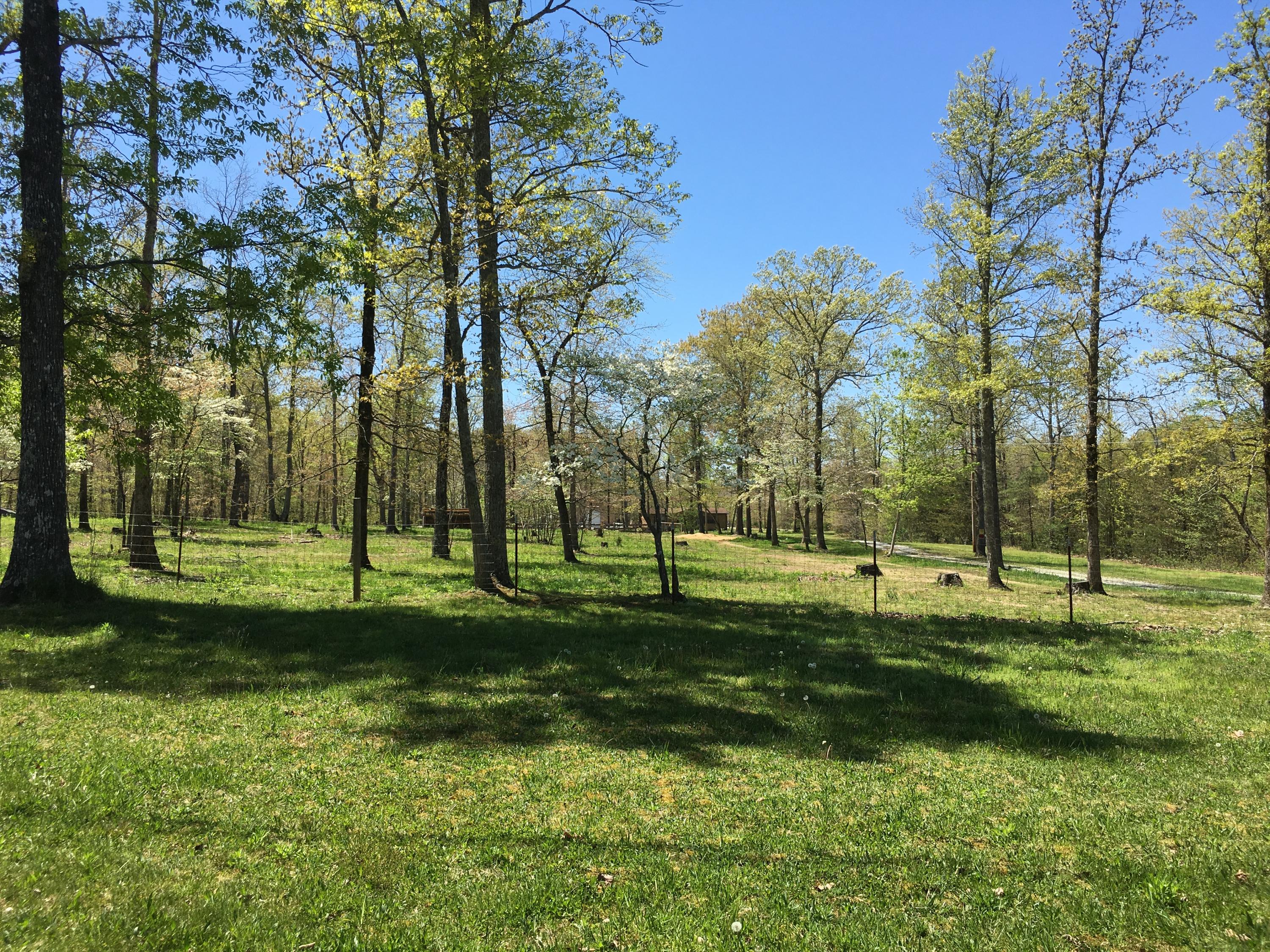 1014 Turkey Blind Road Crossville, TN 38572 - Photo 16 of 17 IMG_0146