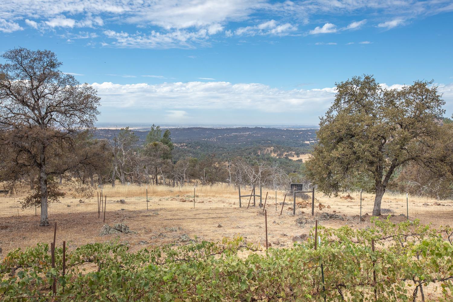 7428 Yore Way Rackerby, CA 95972 - Photo 53 of 65 Gallery Image 53