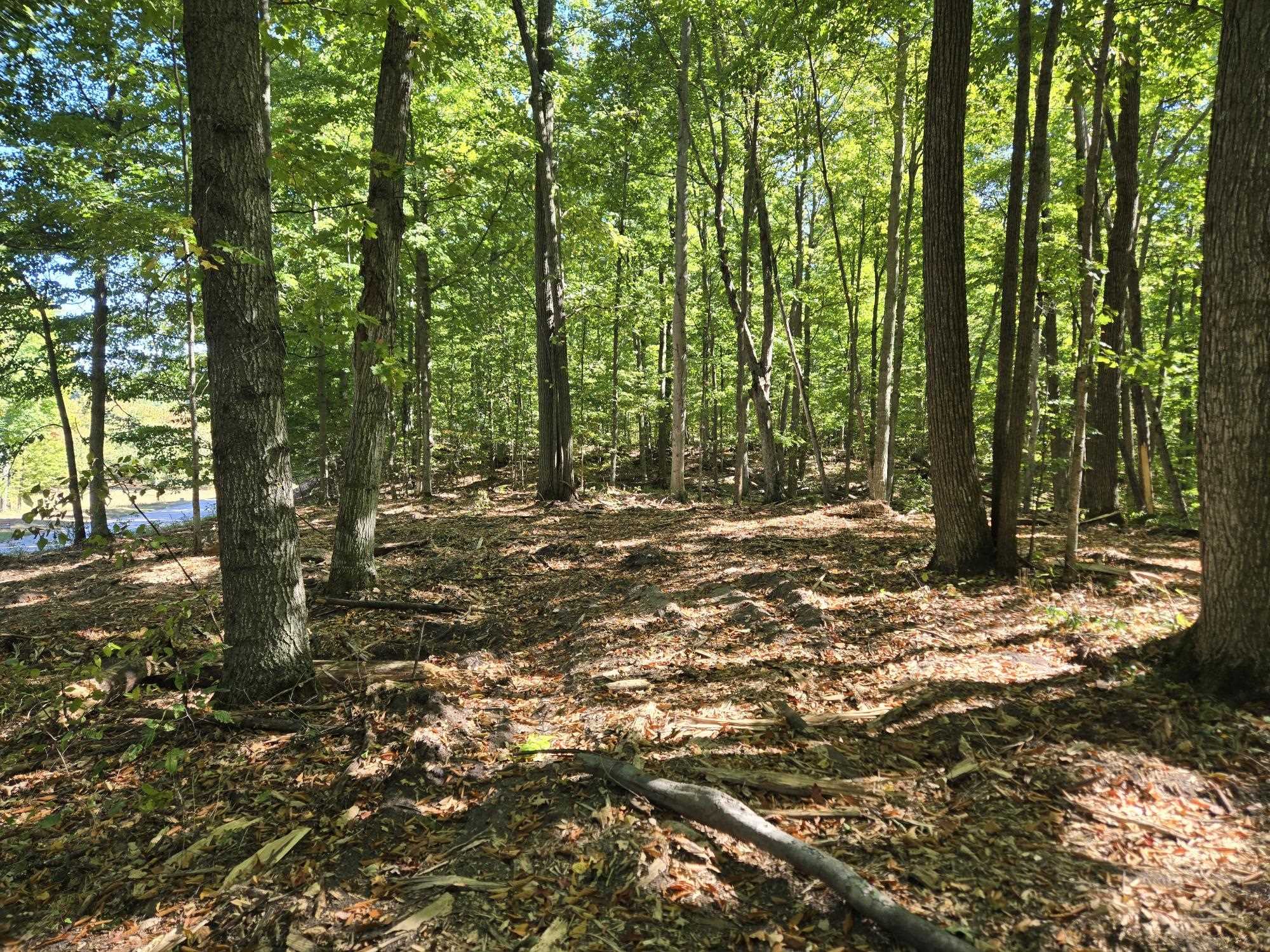 4 Heather Ridge Trail Beulah, MI 49617 - Photo 6 of 10