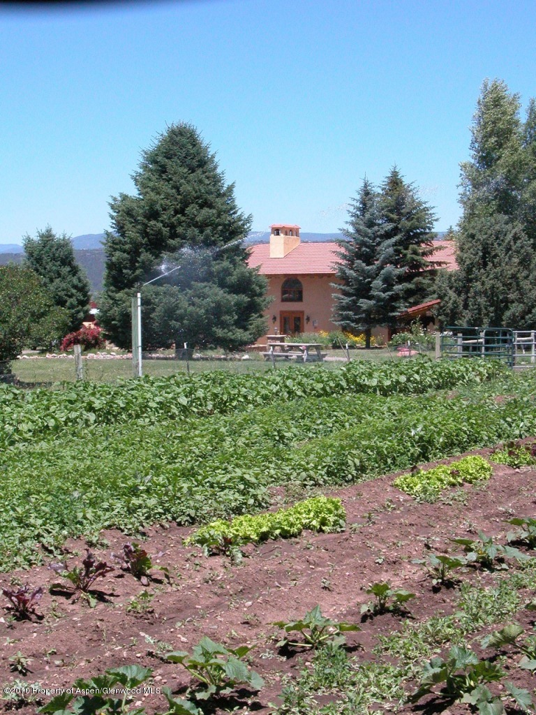 2101 Emma Road Basalt, CO 81621 - Photo 12 of 16 Garden