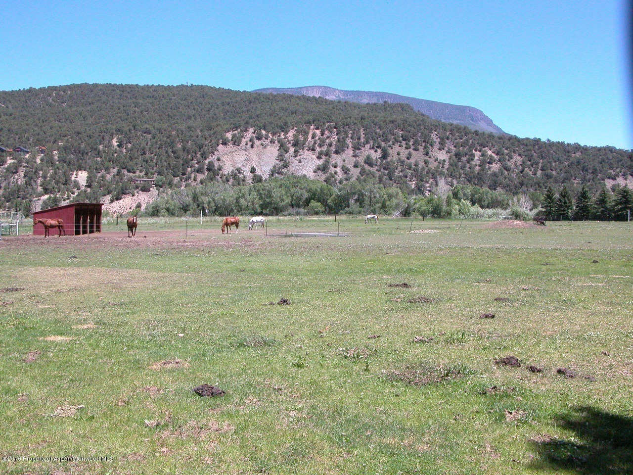 2101 Emma Road Basalt, CO 81621 - Photo 13 of 16 Horse Pasture