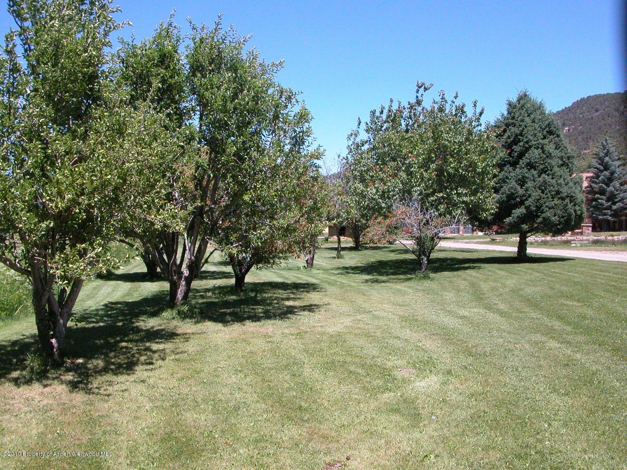 2101 Emma Road Basalt, CO 81621 - Photo 14 of 16 Orchard