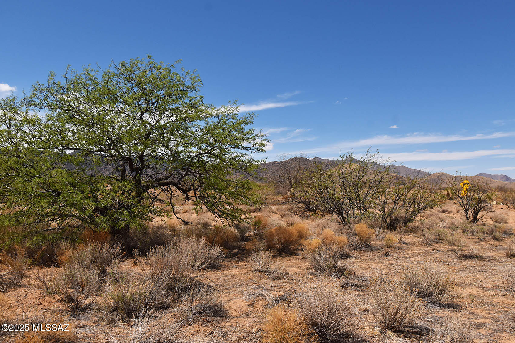 2.16-acres South Middlemarch Road, Unit 8 & 9 Pearce, AZ 85625 - Photo 4 of 14