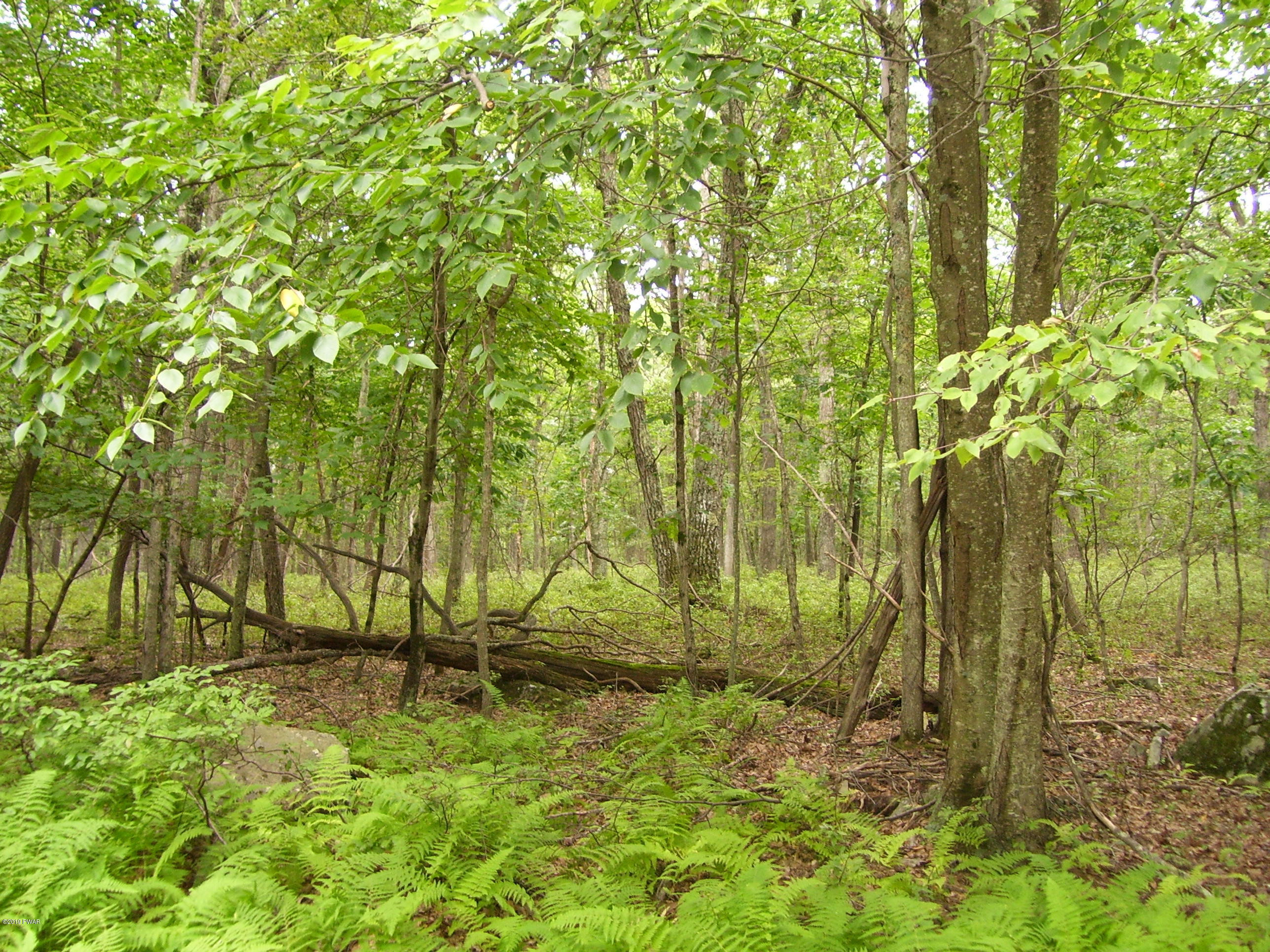 Lot 149 Mountain Top Road Lackawaxen, PA 18435 - Photo 1 of 8