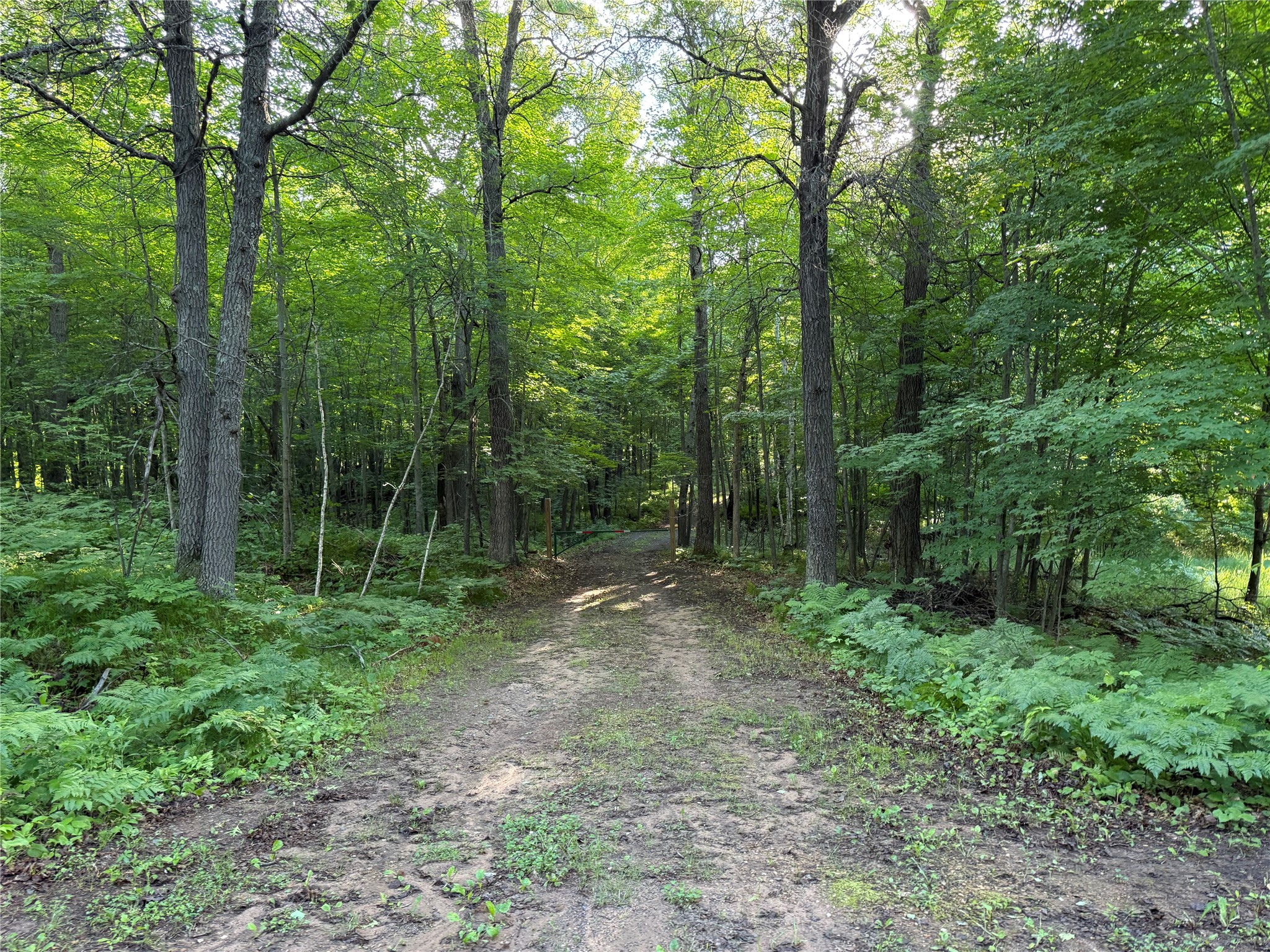 Xxx Sathre Lane Shell Lake, WI 54871 - Photo 32 of 36
