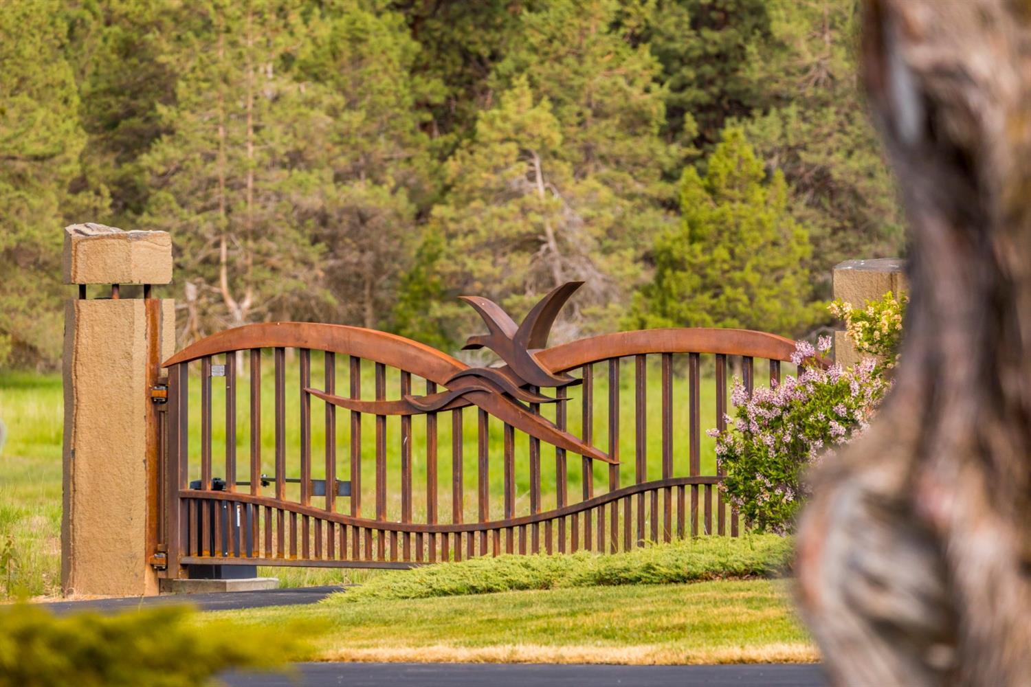 937 Bailey Mountain Road Klamath Falls, OR 97601 - Photo 12 of 12 Additional Photo