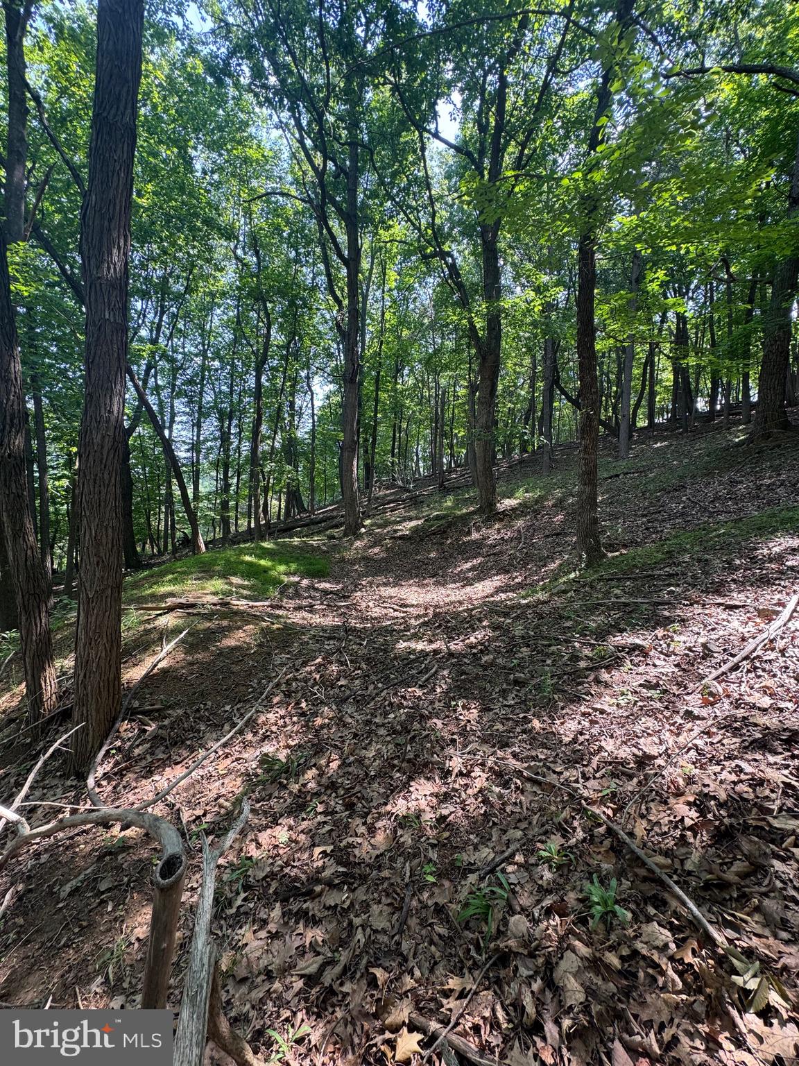 702 Sites Town Road Petersburg, WV 26847 - Photo 52 of 56 Gallery Image 52