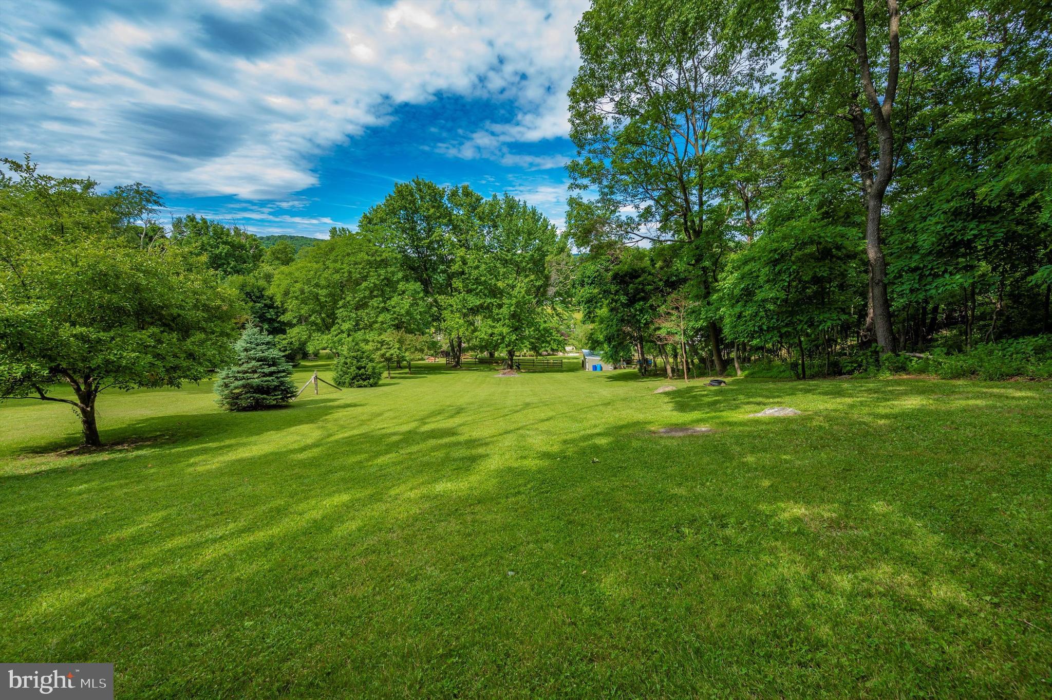 17315 Naylor Road Sabillasville, MD 21780 - Photo 59 of 78 Back yard
