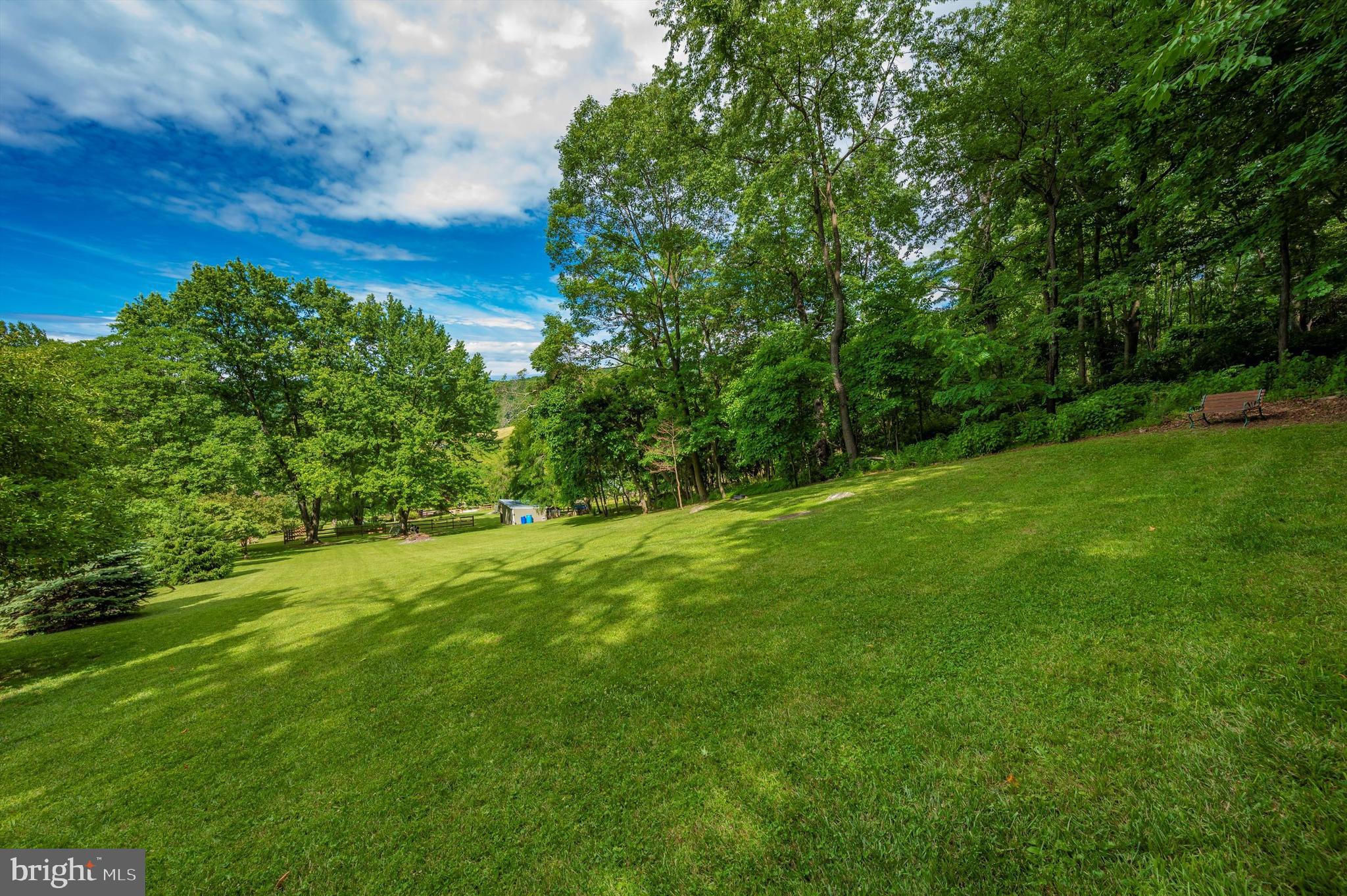 17315 Naylor Road Sabillasville, MD 21780 - Photo 60 of 78 Back yard