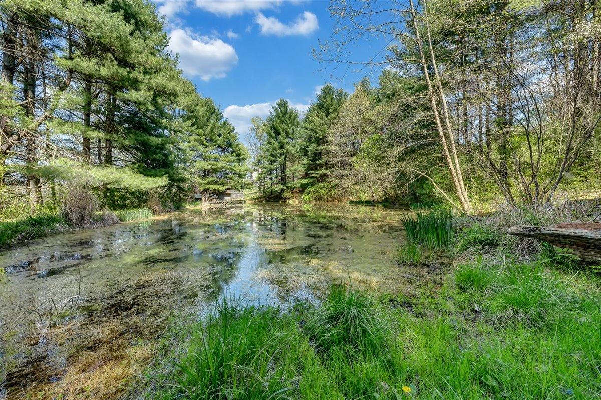 2436 Timber Ridge Buchanan, VA 24066 - Photo 50 of 67 2436 Timber Ridge
