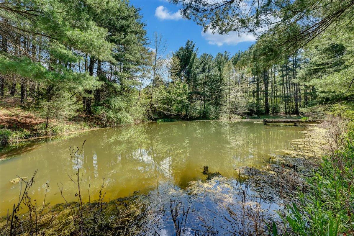 2436 Timber Ridge Buchanan, VA 24066 - Photo 51 of 67 2436 Timber Ridge