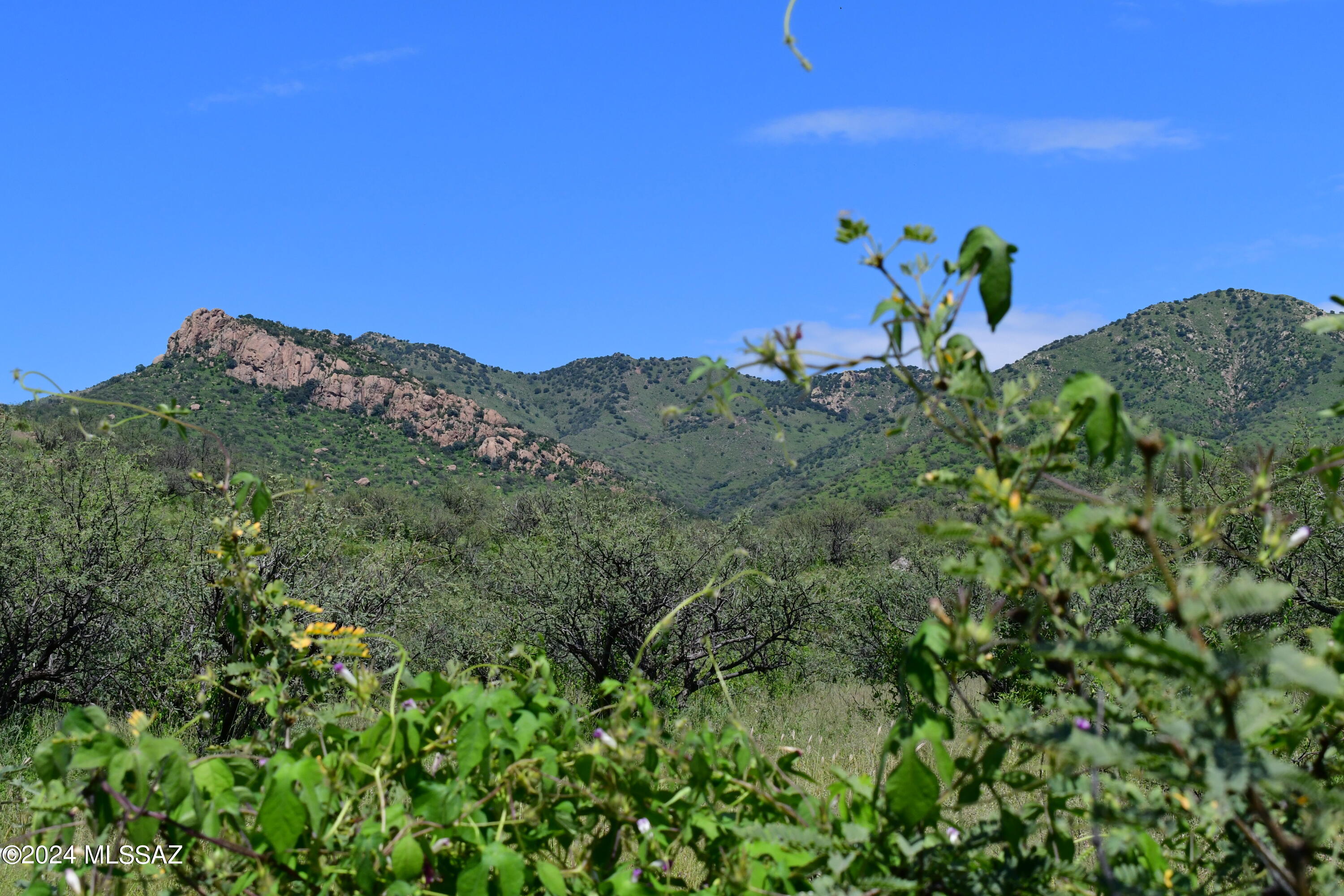 Tbd Tbd Mesquite Trail, Unit 132 Rio Rico, AZ 85648 - Photo 14 of 23