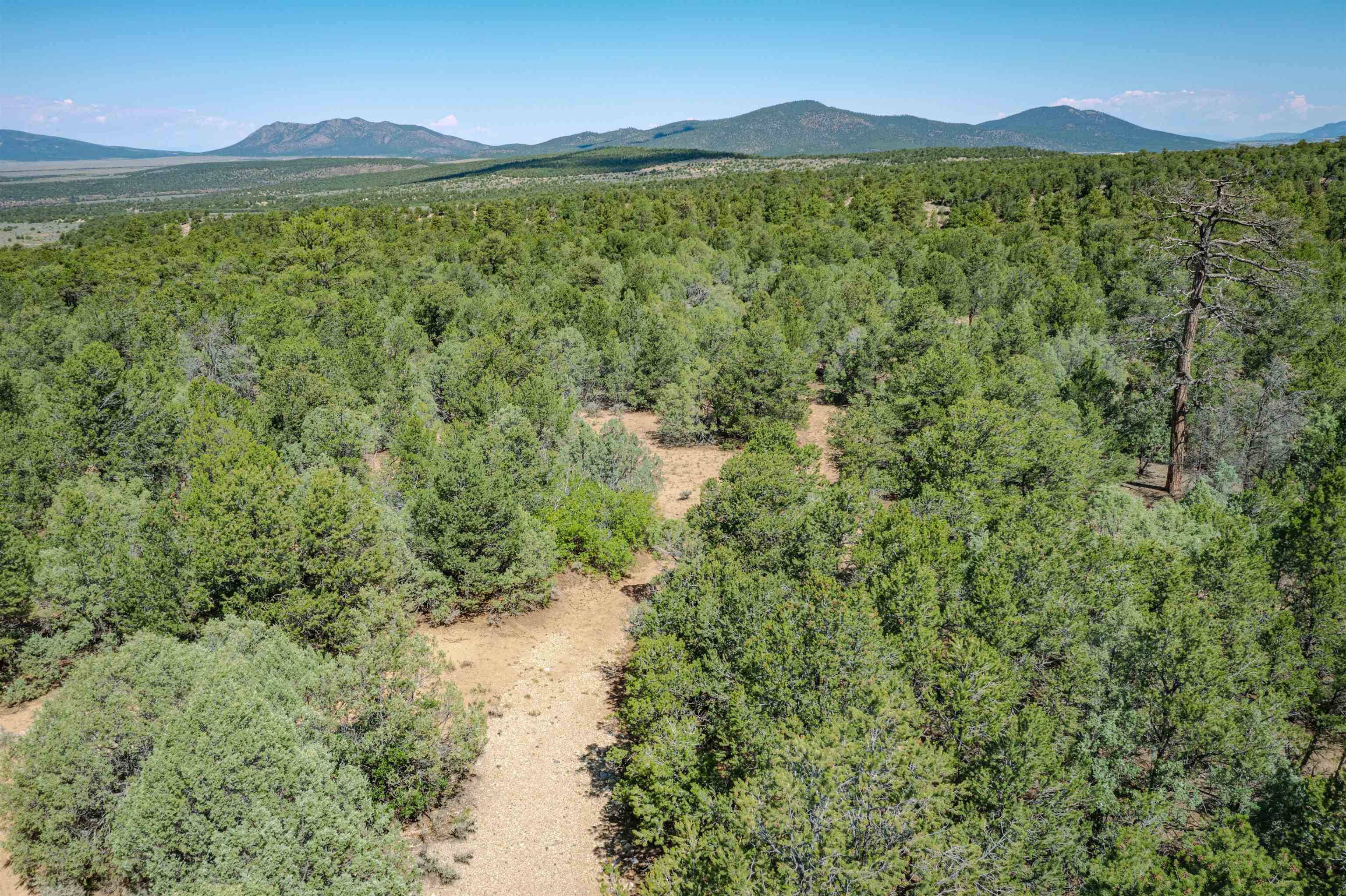 0 Forest Rd 9 Ramah, NM 87556 - Photo 16 of 22 Gallery Image 16